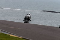 PJ-Motorsport-2019;anglesey-no-limits-trackday;anglesey-photographs;anglesey-trackday-photographs;enduro-digital-images;event-digital-images;eventdigitalimages;no-limits-trackdays;peter-wileman-photography;racing-digital-images;trac-mon;trackday-digital-images;trackday-photos;ty-croes